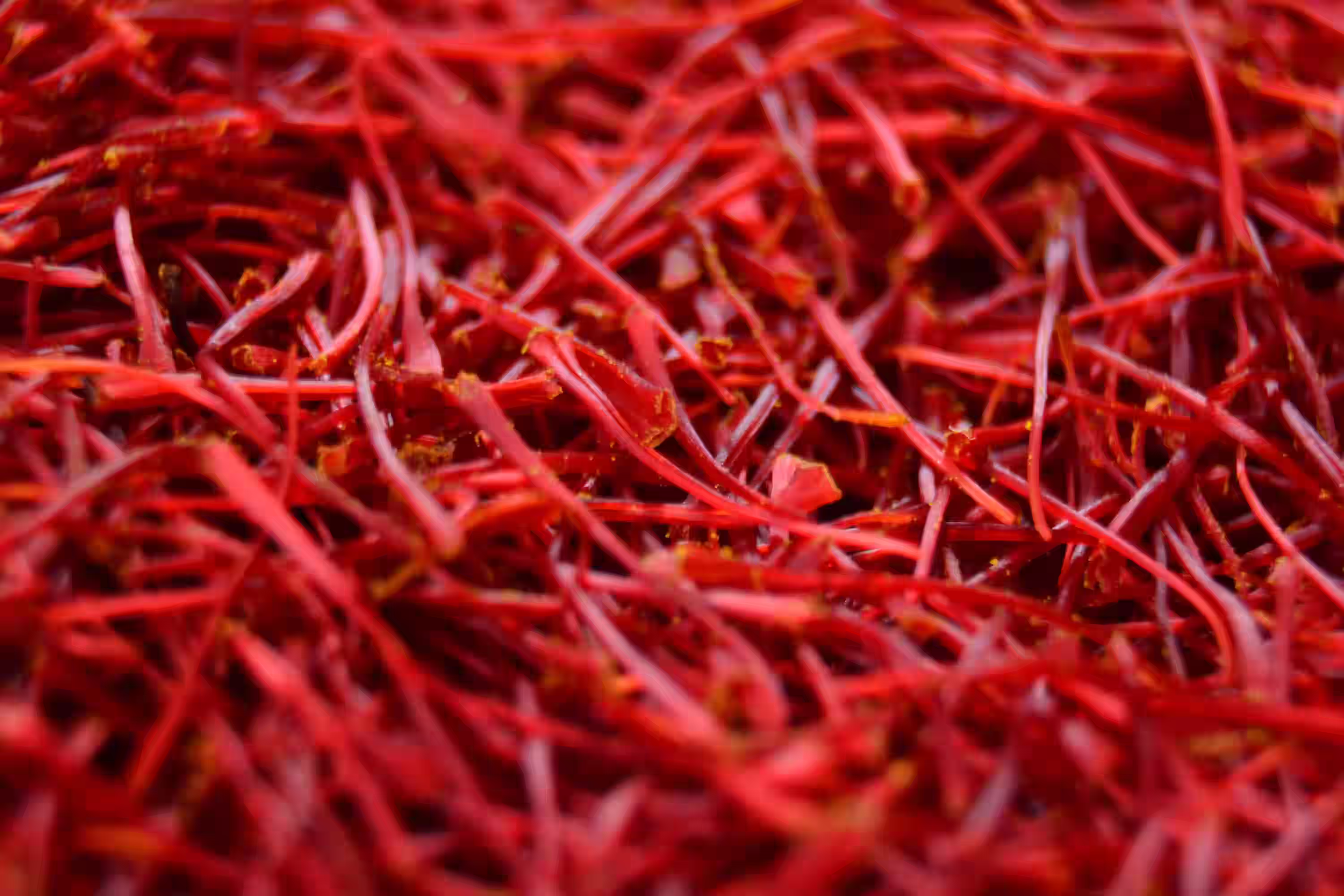 Close up of saffron threads showing deep red strands and fine texture